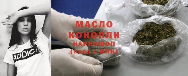 дмт Дмитров