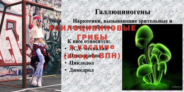 МДМА Дмитриев