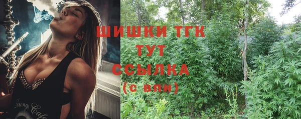дмт Дмитров