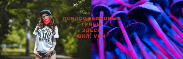 марки lsd Дмитровск
