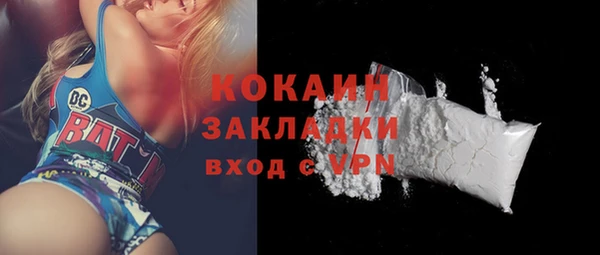 дмт Дмитров