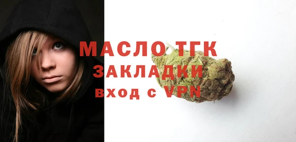 дмт Дмитров