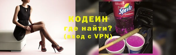 дмт Дмитров