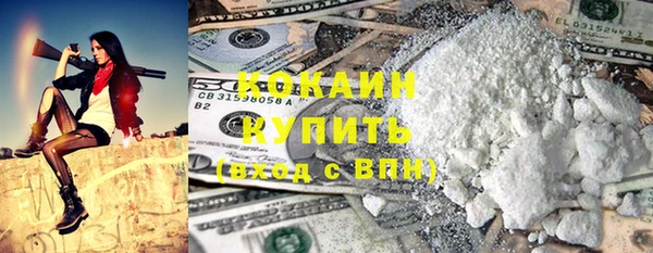 дмт Дмитров