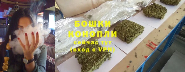 дмт Дмитров