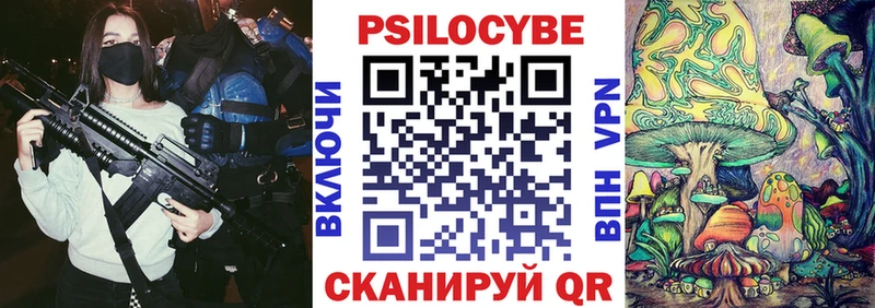Псилоцибиновые грибы Psilocybe  Купить  Моздок 
